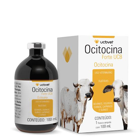 OCITOCINA FORTE UCB 50 ML 24