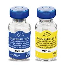 VACINA RECOMBITEK C6/CV/V8 1MLX BOEHRINGER