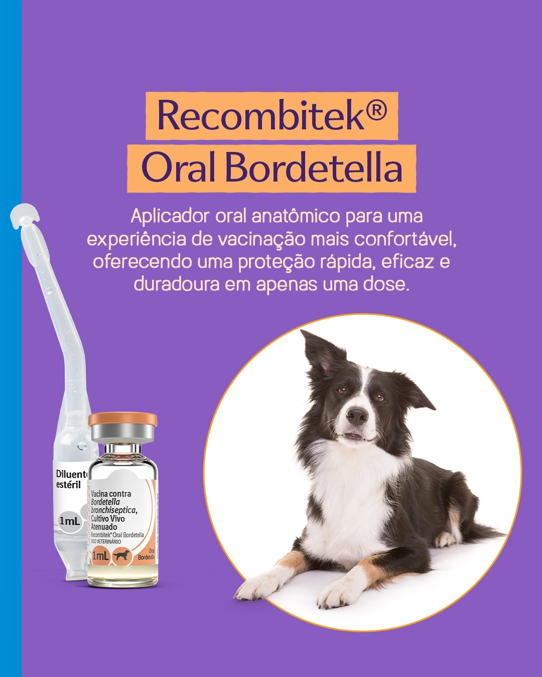 VACINA GRIPE ORAL BORDETELLA 1ML RECOMBIT...