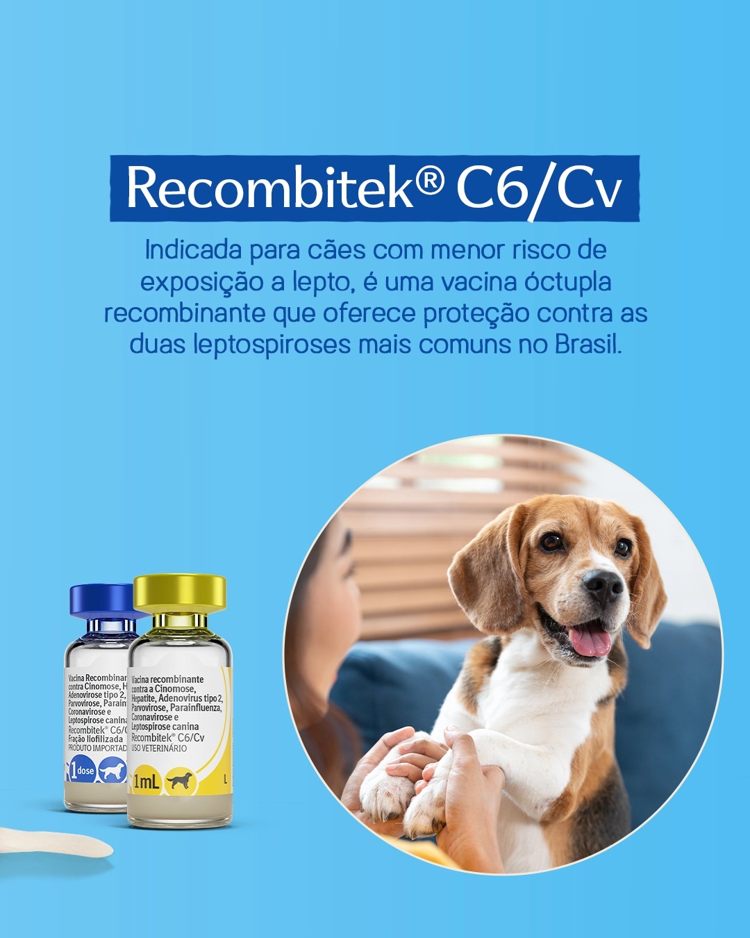 VACINA RECOMBITEK C6/CV/V8 1MLX BOEHRINGER