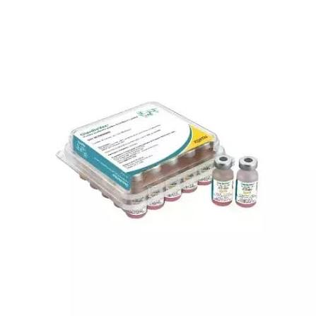 GIARDIA VAX 25 ZOETIS