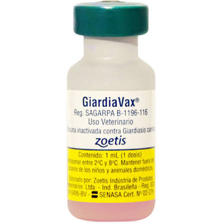 GIARDIA VAX 25 ZOETIS