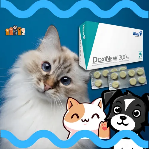 DOXINEW 200 MG BLISTER C/7 COMP - WORLD