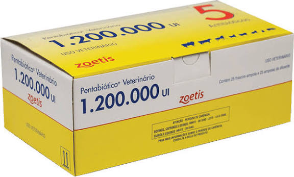 PENTABIOTICO PEQ. PORTE 1.200.000