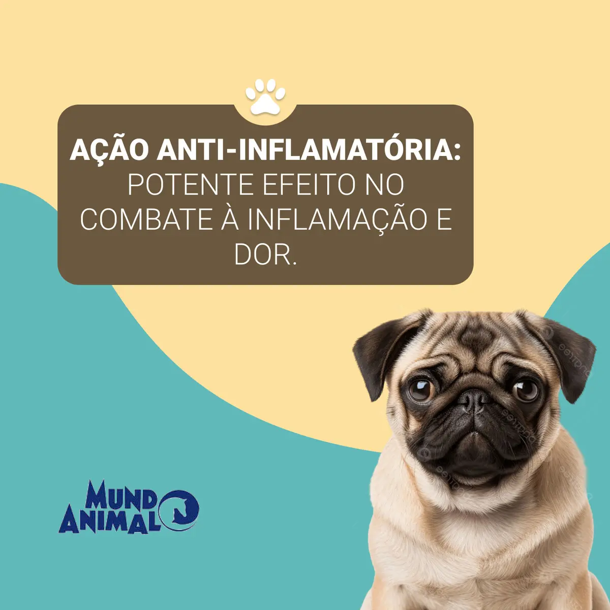 PREDIVET 20 MG X 10 CP MUINDOANIMAL